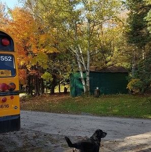 Meet your Posher, Betty